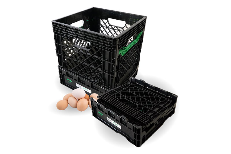 Egg Crate Single Stack - Gi-ovo